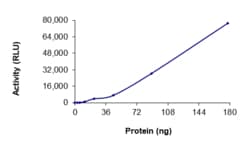 Sino Biological&nbsp;Recombinant Human PDGF alpha receptor/PDGFRA Protein (G680R, GST Tag), Active